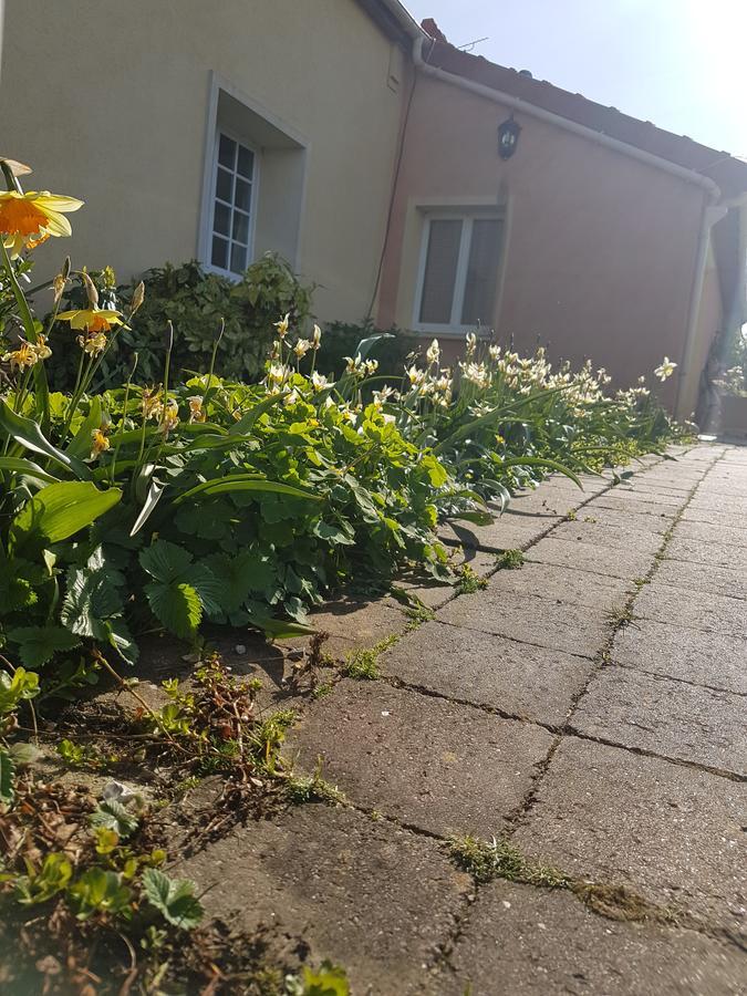 Le clos de Tournes Echinghen Extérieur photo